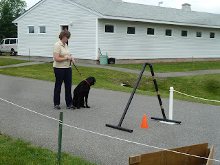 Canadian Guide Dogs for the Blind in Ottawa ON