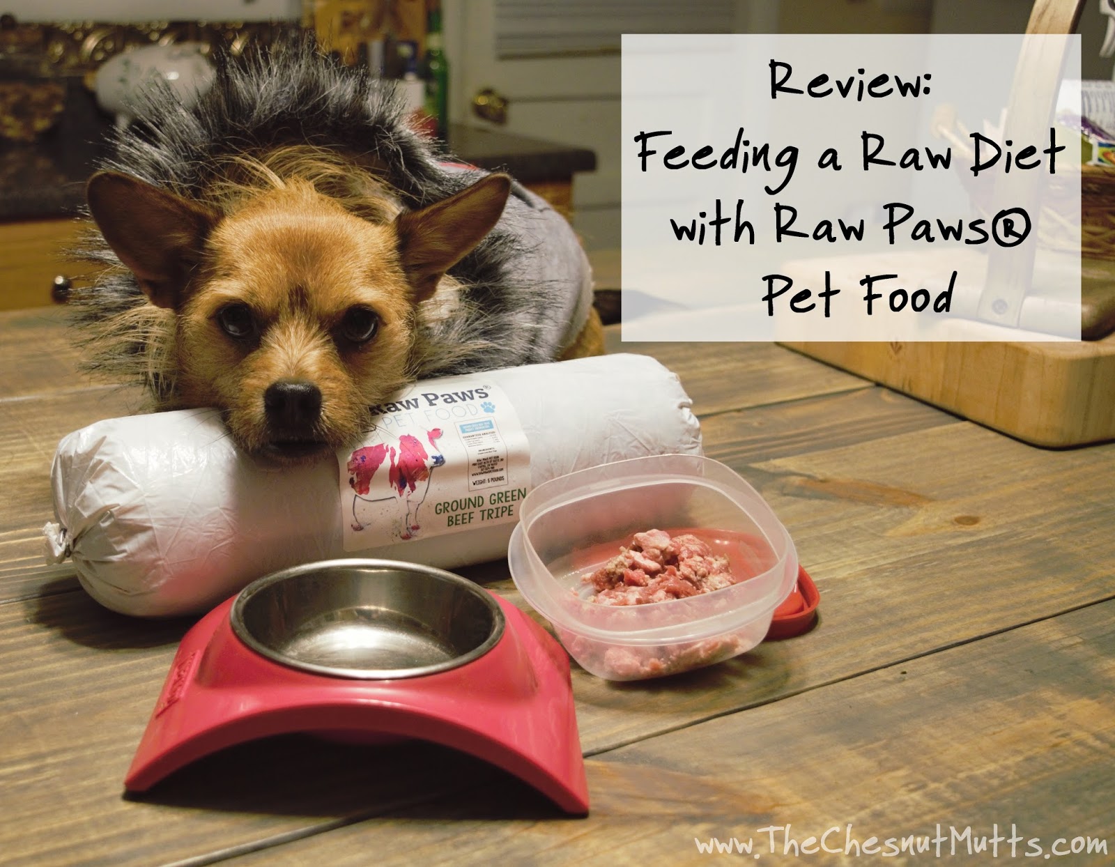 Get the Facts! Raw Pet Food Diets can be Dangerous to You