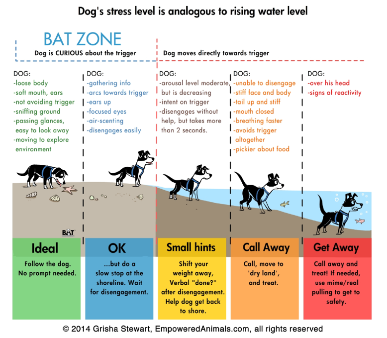 Basic Obedience Dog Training E-Collars and Bark Collars