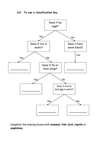 Classification of Plants Education Science 4th grade