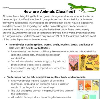 Food Classification mhlw.go.jp