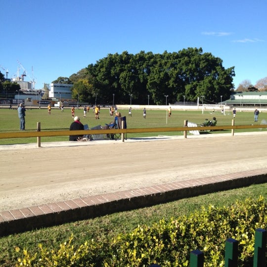 Wentworth Park Greyhound Racing Online Betting