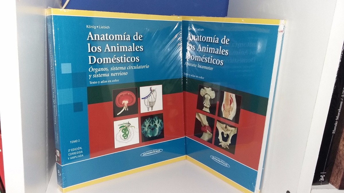 PDF Functional Anatomy And Physiology Of Domestic Animals