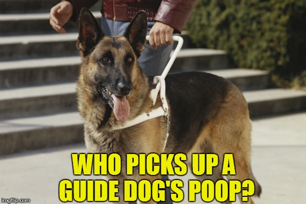 It’s Time to Talk About Dog Poop Outside Online