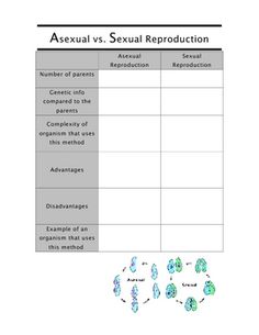 66. asexual and sexual reproduction Edinformatics