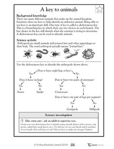 Animals in digestive system (Book 1992) [WorldCat.org]