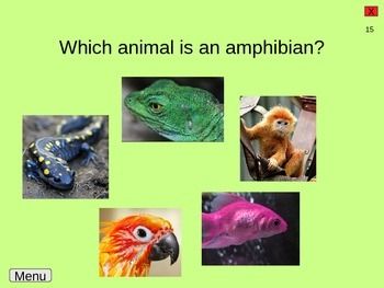 What are some examples of inherited trait in animals?