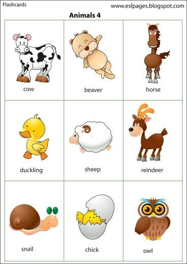 Animal Names in Tamil and English ilearntamil.com