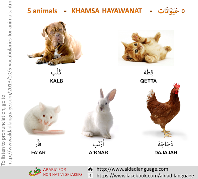 Wild Animals FREE ESL Flashcards teachchildrenesl.com