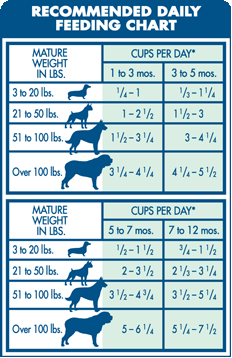 Feeding Guide for Dogs and Cats Size against food intake