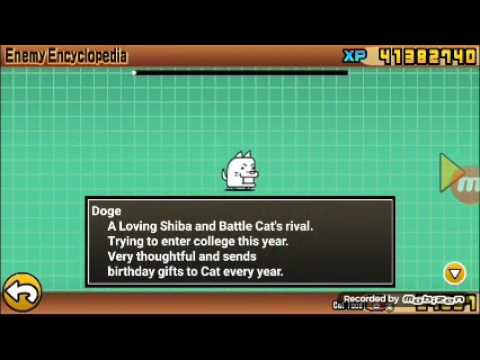 Items Battle Cats WIKI