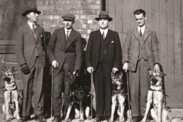 How puppies are trained to become guide dogs BBC News