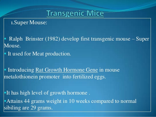 9 Biggest Pros and Cons of Transgenic Animals