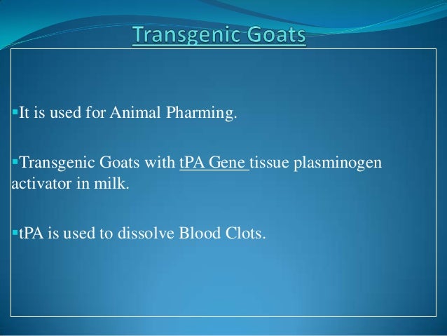 PPT – Transgenic Animals PowerPoint presentation