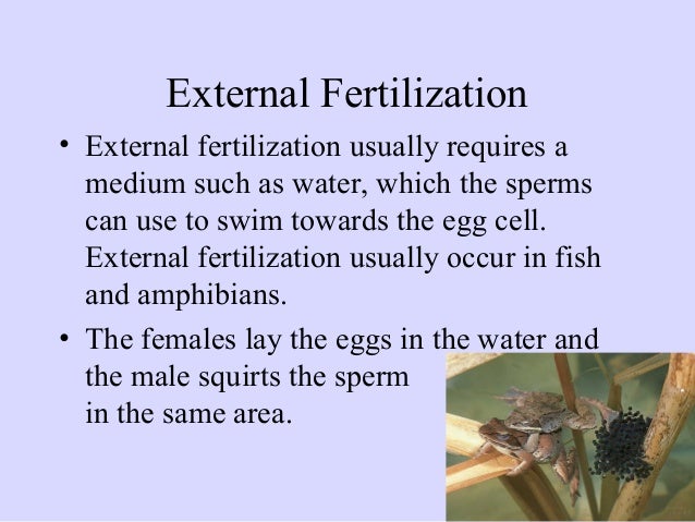 Sexual and Asexual Reproduction MCQs Quiz Questions