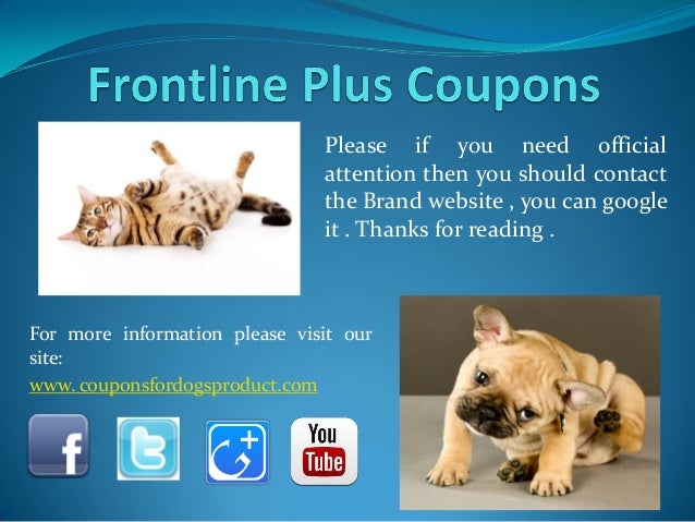 Frontline Plus Cats – 12 Pack Pet King - Pet care