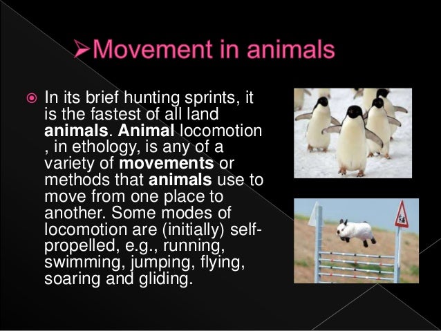 Movements and Locomotion in animals and its importance