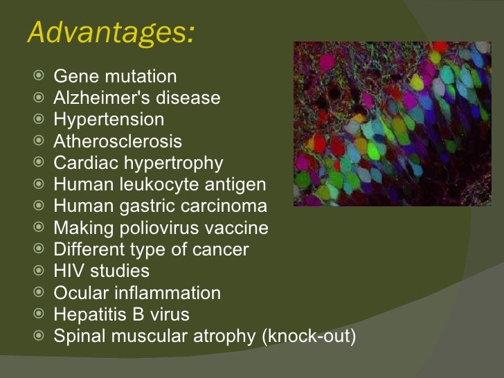 Transgenic animals ppt SlideShare