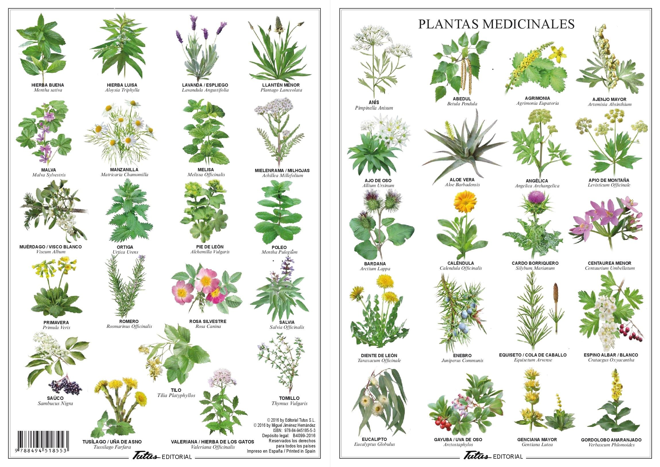 Reflection paper on the use of macrolides lincosamides