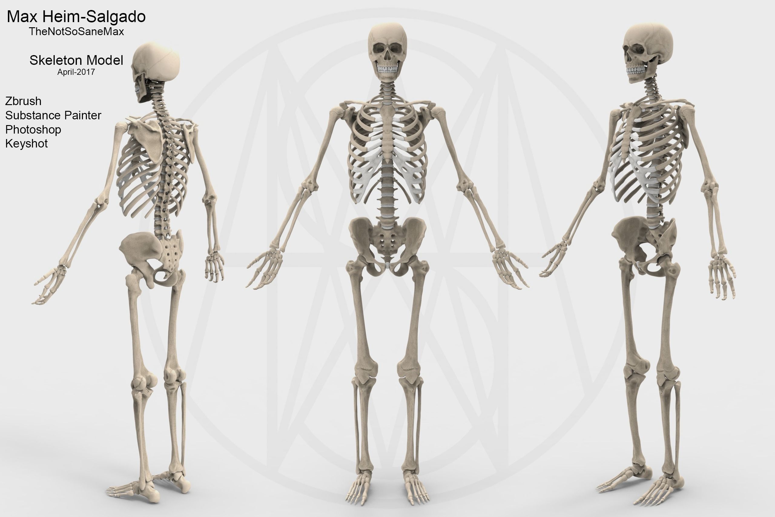 Overview of Musculoskeletal System Musculoskeletal