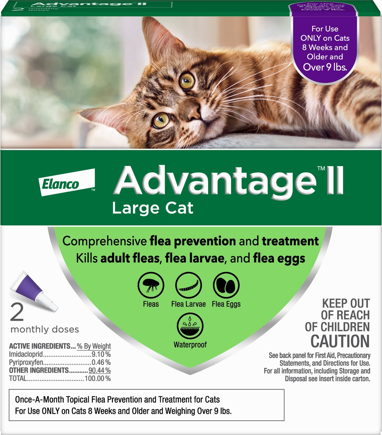 How to Use Advantage Flea Treatment YouTube