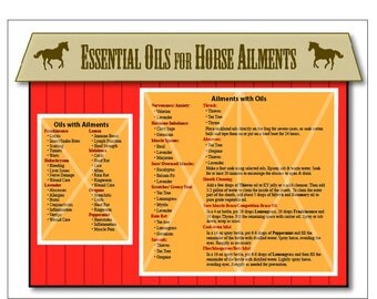 Holistic Aromatherapy for Animals eBay