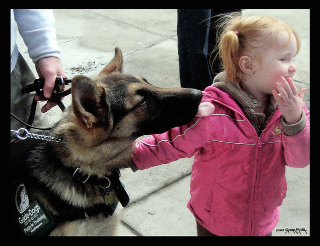 Guide Dogs For The Blind Inc San Rafael USA 10times