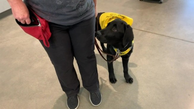 ASA upholds complaint against Guide Dogs for the Blind