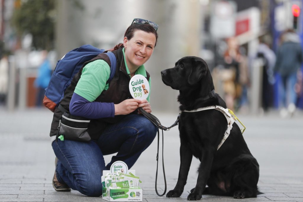 How much does it cost to train a guide dog? Quora