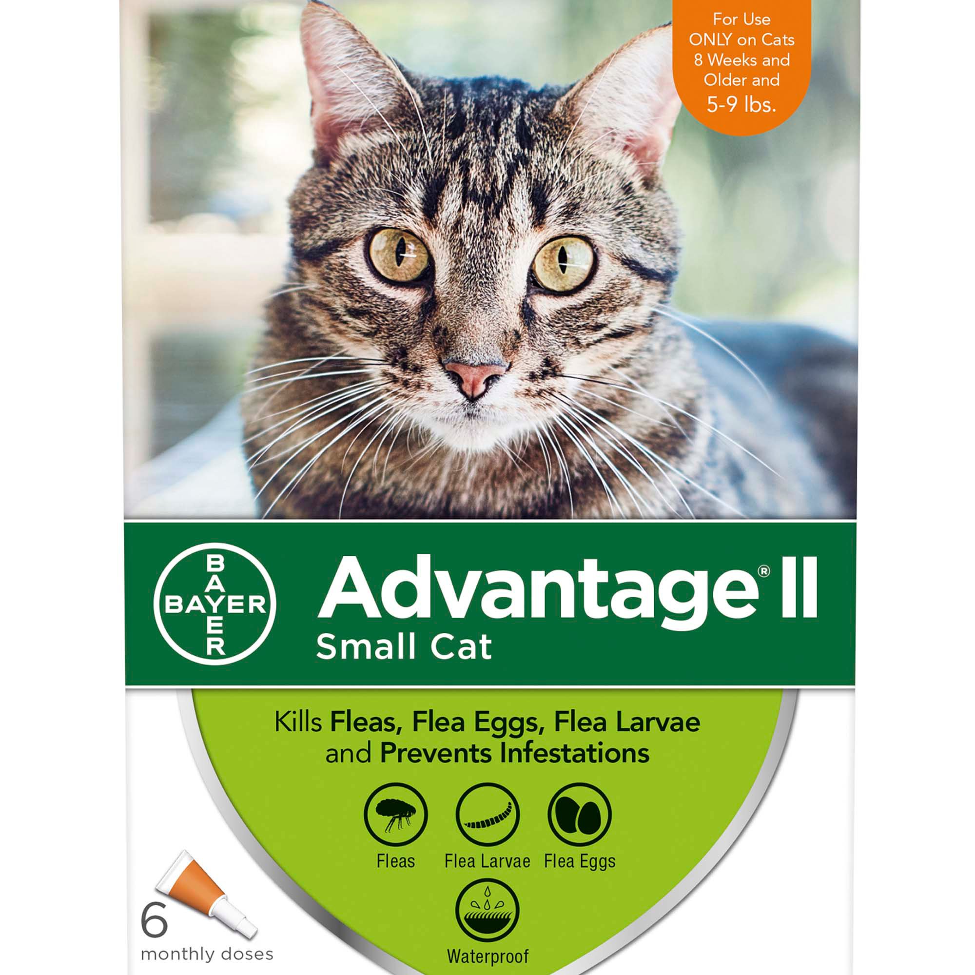 Frontline vs Advantage for Cats PetCareRx