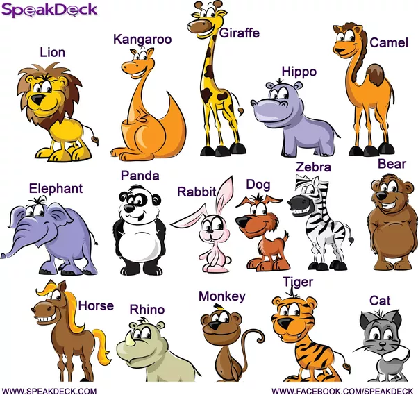 wild animals names list Archives English Study Here