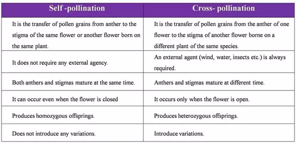 Review of Evidence of Environmental Impacts of Animal