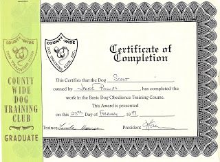 basic dog obedience training Great