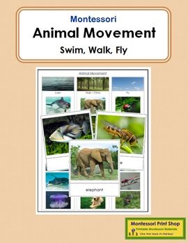 [PDF] Download Animal Locomotion Free Unquote Books