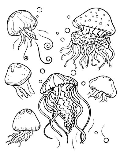 Ocean Animals Coloring Pages Sea To Color Page For Kids