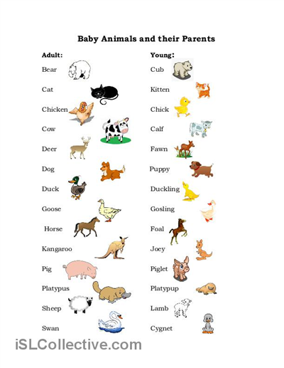 All Animals Name English To Gujarati pdfsdocuments2.com