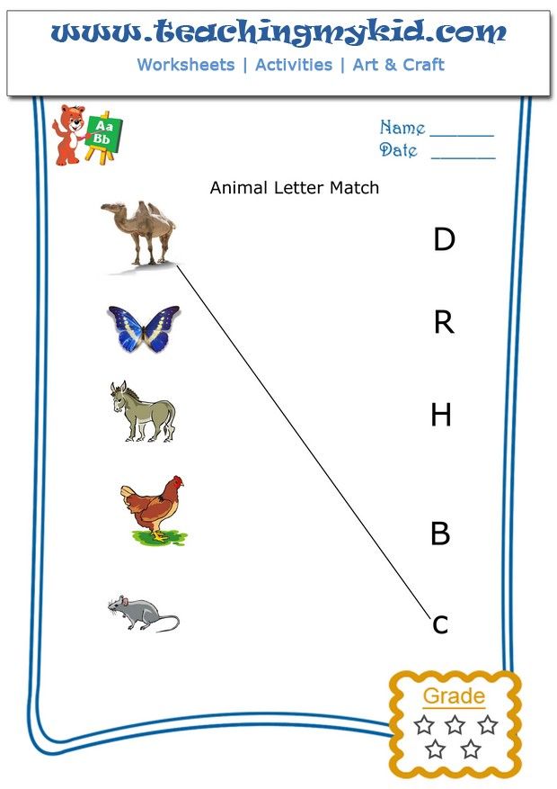 Animals Learning English with pictures - Exercises