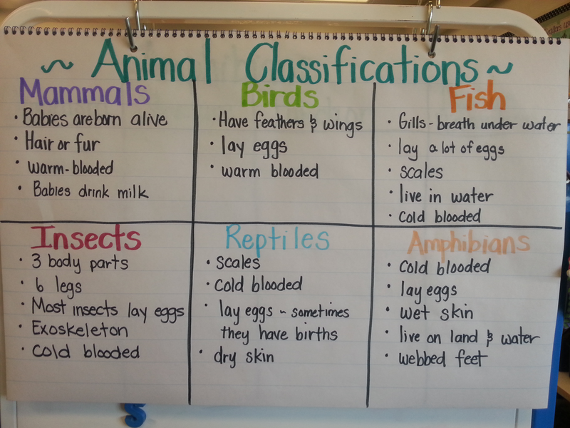 Classification of Plants Education Science 4th grade