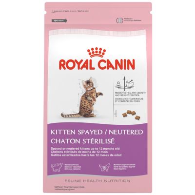 Royal Canin® Adult Persian Cat Food cat Dry Food PetSmart