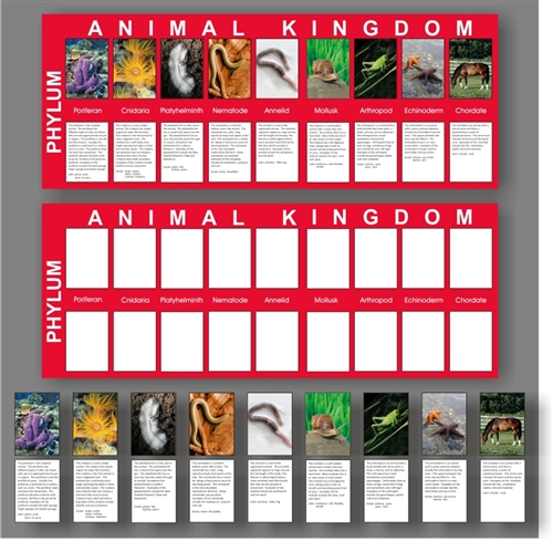 Classification of animals vertebrates in-vertebrates