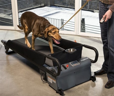 Dog Treadmill for Sale Pet Comfort Products