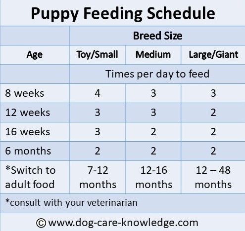 Burns Feeding Amounts Burns Pet Food