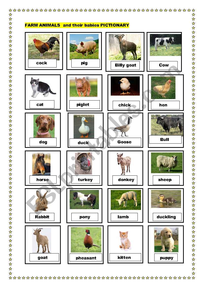 Baby Animals Worksheet 4 FREE ESL resources for those