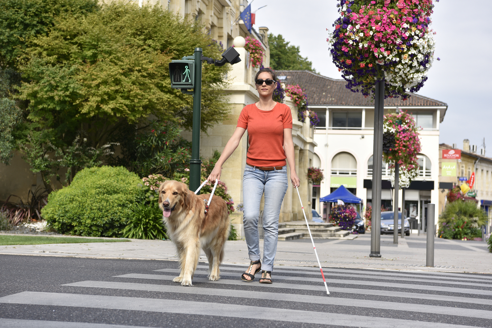 Making the magic of Christmas accessible Guide Dogs Blog