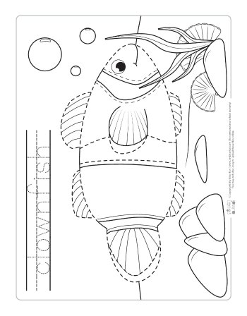 Animal track activity sheets