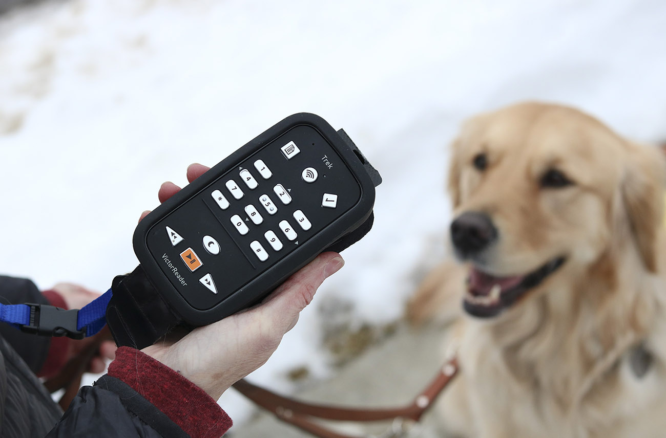 Guide Dogs For The Blind Association Burghfield