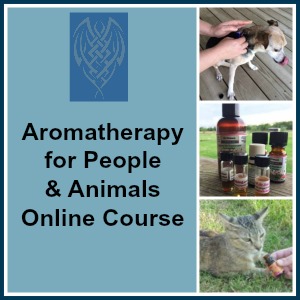 Download Holistic Aromatherapy for Animals A