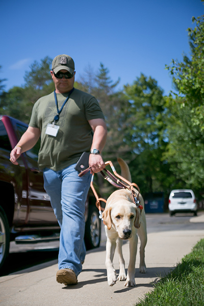 Special Dog Training Always Wondered How Guide Dogs Are