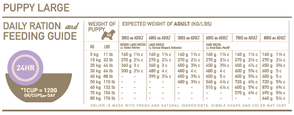 What Is The Best Food For a Newfoundland Dog? Complete Guide